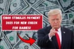 $1800 Stimulus Payment 2025 – Check Eligibility And Application Process For New Check For Babies!