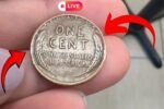 How a 10-Year-Old Found a Lincoln Penny That Changed His Family’s Life